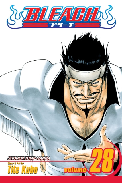 Book cover of: Bleach, Vol. 28. By: Tite Kubo