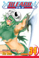 Book cover of: Bleach, Vol. 34