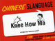 Book cover of: Chinese Slanguage. By: Mike Ellis