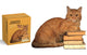 Book cover of: Cat Reader Jiggie. By: Gibbs Gibbs Smith