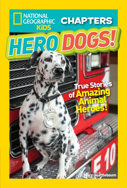 Book cover of: National Geographic Kids Chapters: Hero Dogs. By: Mary Quattlebaum