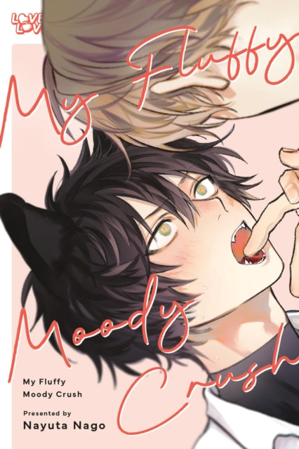 Book cover of: My Fluffy Moody Crush