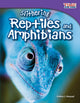 Book cover of: Slithering Reptiles and Amphibians