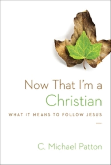 Book cover of: Now That I'm a Christian