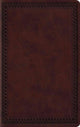 ESV Large Print Value Thinline Bible