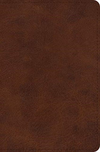 Book cover of: ESV Large Print Bible