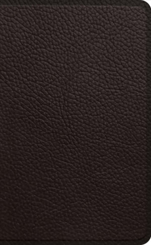 ESV Pocket Bible