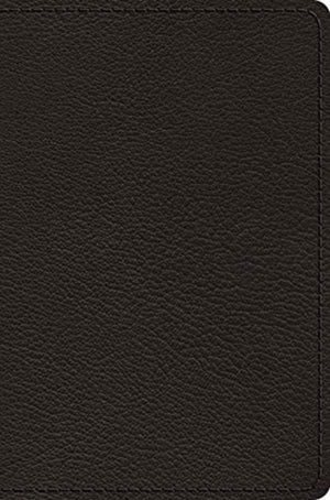 ESV Preaching Bible, Verse-by-Verse Edition