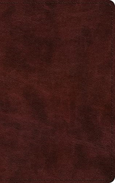 Book cover of: ESV Large Print Thinline Bible. By: Society for Promoting Christian Knowledge