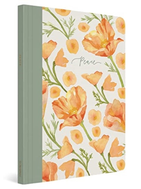 Book cover of: ESV Prayer Journal. By: Erika Allen