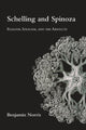 Book cover of: Schelling and Spinoza. By: Benjamin Norris