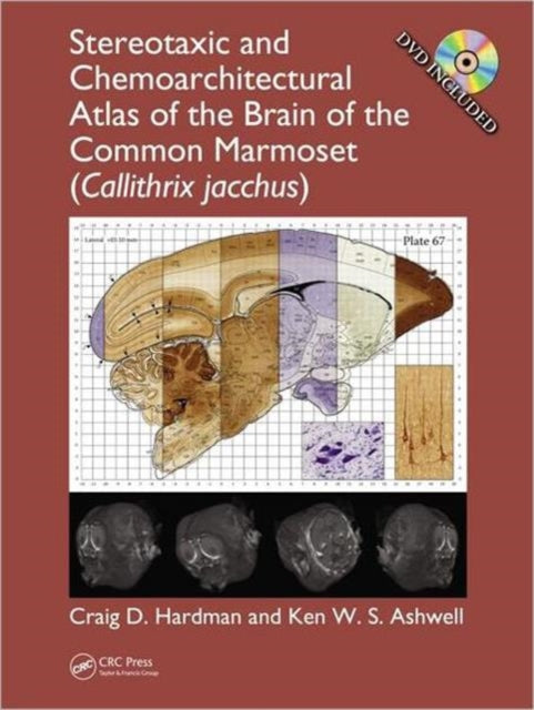 Book cover of: Stereotaxic and Chemoarchitectural Atlas of the Brain of the Common Marmoset (Callithrix jacchus). By: Craig D. Hardman