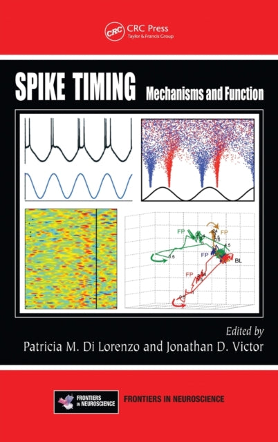 Book cover of: Spike Timing. By: Patricia M. DiLorenzo