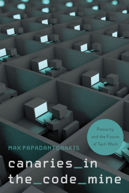 Book cover of: Canaries in the Code Mine