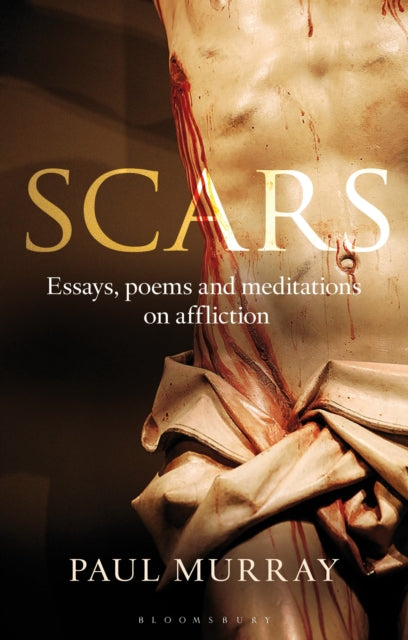 Book cover of: Scars. By: Paul Murray - undifferentiated