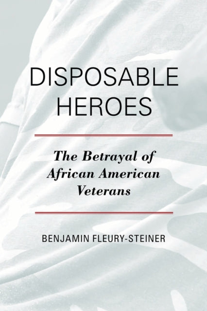 Book cover of: Disposable Heroes. By: Benjamin Fleury-Steiner