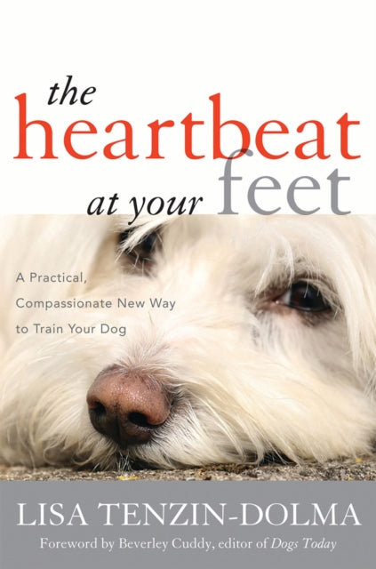 Book cover of: Heartbeat at Your Feet. By: Lisa Tenzindolma