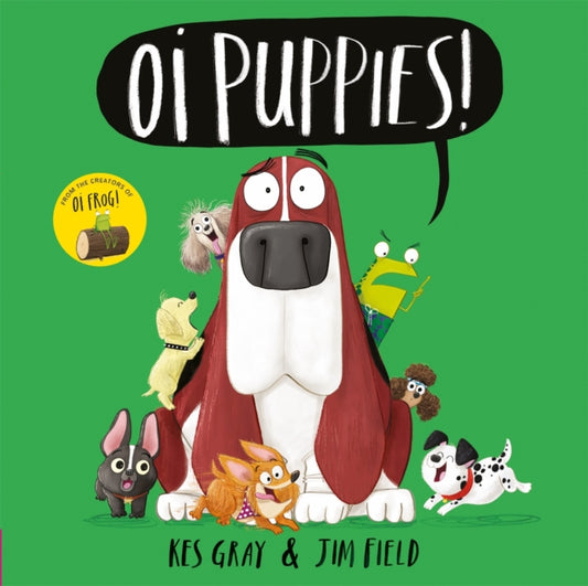 Oi Puppies! 9781444937367 Kes Gray