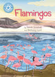 Book cover of: Reading Champion: Flamingos. By: Sarah Snashall