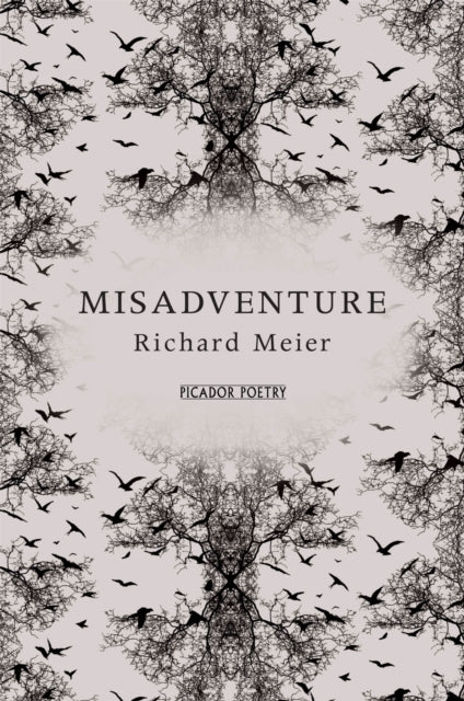 Book cover of: Misadventure. By: Richard Meier