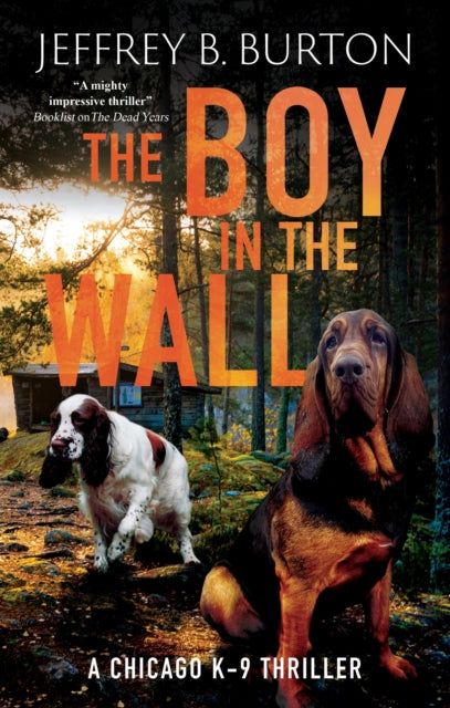 Boy in the Wall