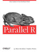 Book cover of: Parallel R. By: Q. Ethan McCallum