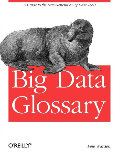 Book cover of: Big Data Glossary. By: Pete Warden
