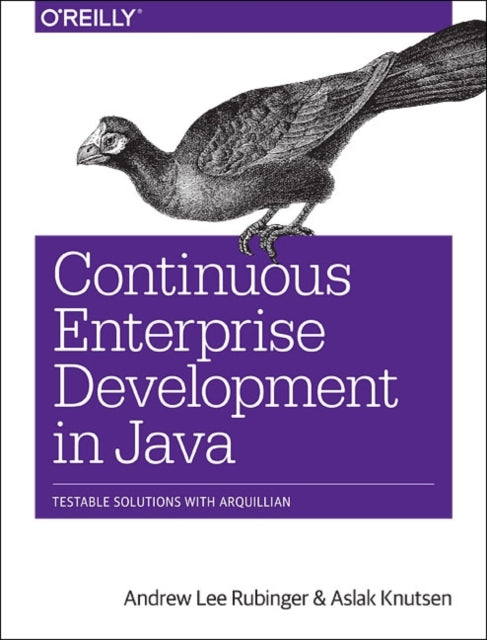 Book cover of: Continuous Enterprise Development in Java