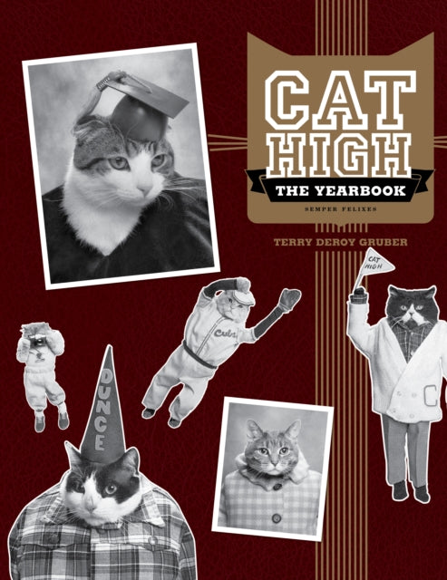Book cover of: Cat High. By: Terry deRoy Gruber