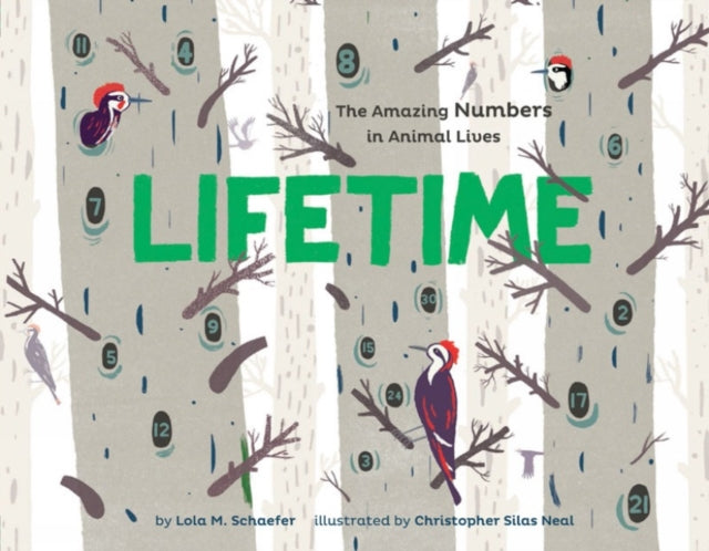 Book cover of: Lifetime. By: Lola M. Schaefer