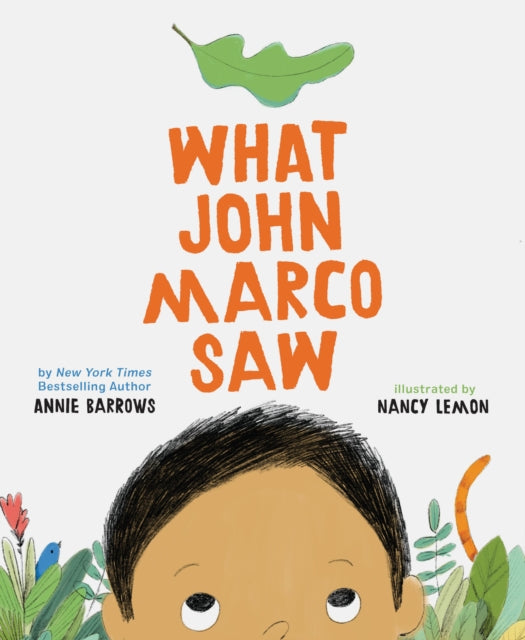 Book cover of: What John Marco Saw. By: Annie Barrows