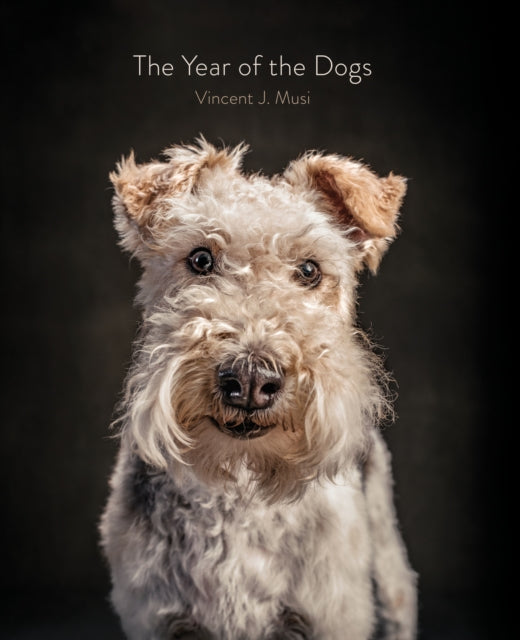 Book cover of: Year of the Dogs. By: Vincent J. Musi