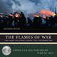 Book cover of: Flames of War. By: Richard Feltoe