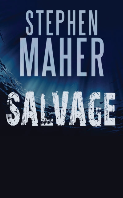 Book cover of: Salvage. By: Stephen Maher
