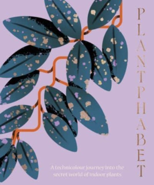 Plantphabet, A stunningly illustrated A-Z celebration of popular indoor plants, for fans of Plant Society, Leaf Supply and Plantopedia 9781460760604 Harper by Design