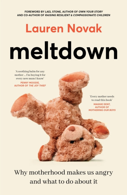 Meltdown: An insightful, sympathetic and reassuring look at the dangerous but hot topic of mum rage for readers of Brene Brown and Jamila Rizvi