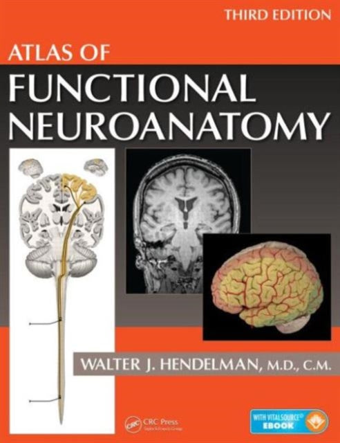 Book cover of: Atlas of Functional Neuroanatomy. By: Walter Hendelman