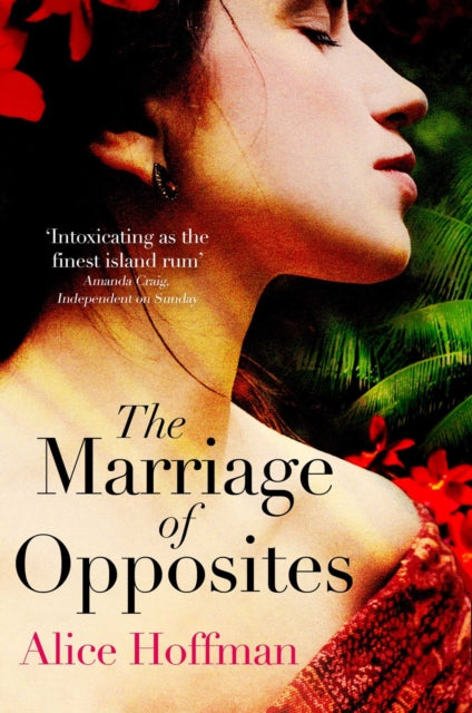 Book cover of: Marriage of Opposites. By: Alice Hoffman