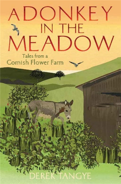 Book cover of: Donkey in the Meadow. By: Derek Tangye
