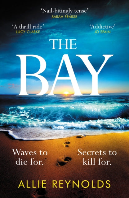 Book cover of: Bay. By: Allie Reynolds