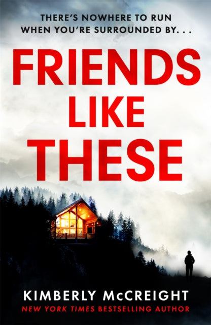 Book cover of: Friends Like These. By: Kimberly McCreight