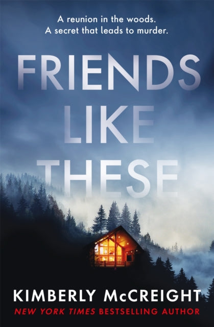 Book cover of: Friends Like These. By: Kimberly McCreight