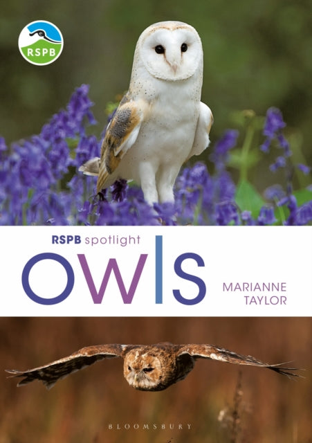Book cover of: RSPB Spotlight Owls. By: Marianne Taylor
