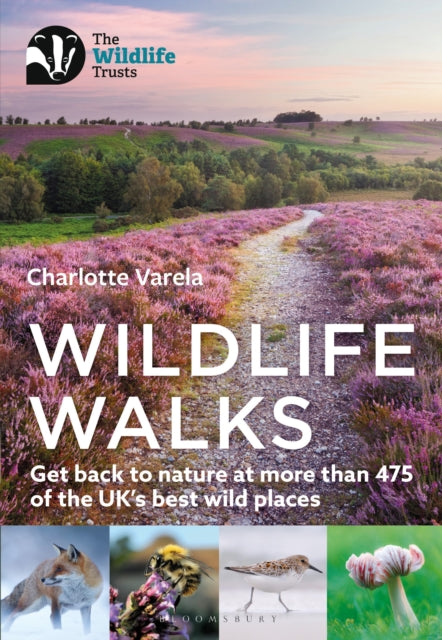 Book cover of: Wildlife Walks. By: Charlotte Varela