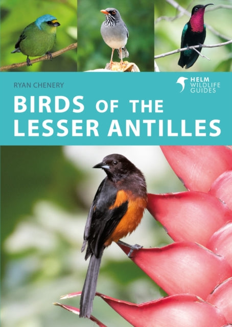 Book cover of: Birds of the Lesser Antilles. By: Ryan Chenery