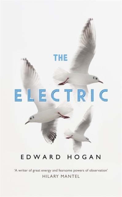Book cover of: Electric. By: Edward Hogan