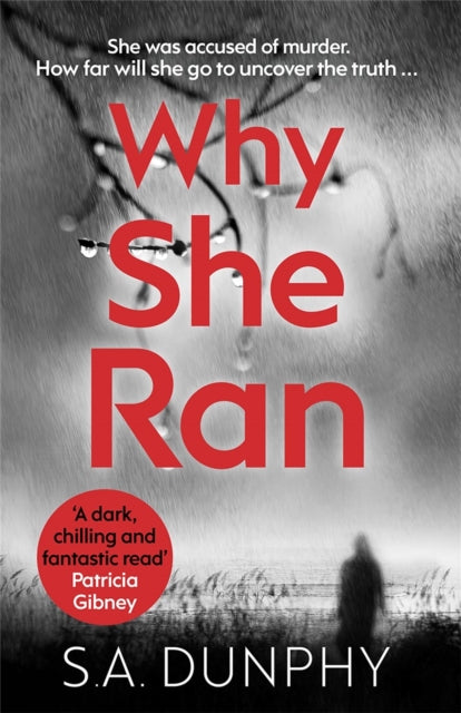 Book cover of: Why She Ran. By: S. A. Dunphy