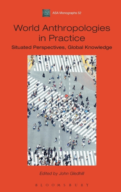 World Anthropologies in Practice