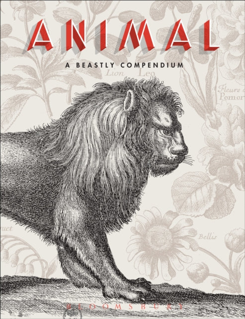 Book cover of: Animal. By: Bibliothèque nationale de France. Département des estampes et de la photographie