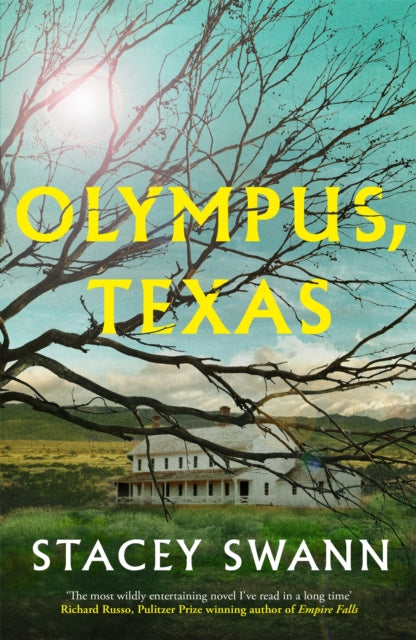 Book cover of: Olympus, Texas. By: Stacey Swann